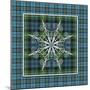 JP3704-Plaid Snowflakes-Jean Plout-Mounted Giclee Print