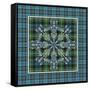JP3705-Plaid Snowflakes-Jean Plout-Framed Stretched Canvas