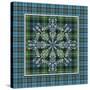 JP3705-Plaid Snowflakes-Jean Plout-Stretched Canvas