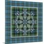 JP3705-Plaid Snowflakes-Jean Plout-Mounted Giclee Print