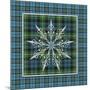 JP3706-Plaid Snowflakes-Jean Plout-Mounted Giclee Print