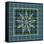 JP3706-Plaid Snowflakes-Jean Plout-Framed Stretched Canvas