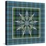 JP3706-Plaid Snowflakes-Jean Plout-Stretched Canvas