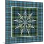 JP3706-Plaid Snowflakes-Jean Plout-Mounted Giclee Print