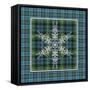 JP3707-Plaid Snowflakes-Jean Plout-Framed Stretched Canvas