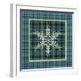 JP3707-Plaid Snowflakes-Jean Plout-Framed Giclee Print