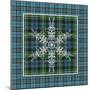 JP3707-Plaid Snowflakes-Jean Plout-Mounted Giclee Print