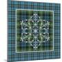 JP3708-Plaid Snowflakes-Jean Plout-Mounted Giclee Print