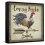 JP3771-Rustic Rooster-Jean Plout-Framed Stretched Canvas