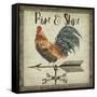 JP3772-Rustic Rooster-Jean Plout-Framed Stretched Canvas