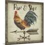 JP3772-Rustic Rooster-Jean Plout-Mounted Giclee Print