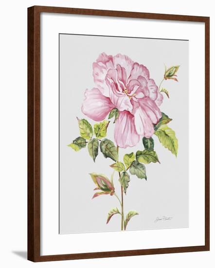 JP3779-Botanicals-Jean Plout-Framed Giclee Print