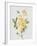 JP3780-Botanicals-Jean Plout-Framed Giclee Print