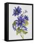 JP3781-Botanicals-Jean Plout-Framed Stretched Canvas