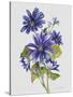 JP3781-Botanicals-Jean Plout-Stretched Canvas