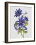 JP3781-Botanicals-Jean Plout-Framed Giclee Print