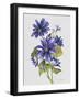 JP3781-Botanicals-Jean Plout-Framed Giclee Print