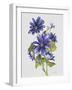 JP3781-Botanicals-Jean Plout-Framed Giclee Print