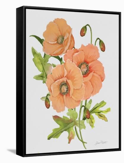 JP3782-Botanicals-Jean Plout-Framed Stretched Canvas