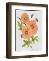 JP3782-Botanicals-Jean Plout-Framed Giclee Print