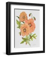 JP3782-Botanicals-Jean Plout-Framed Giclee Print