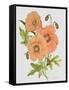 JP3782-Botanicals-Jean Plout-Framed Stretched Canvas