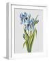 JP3784-Botanicals-Jean Plout-Framed Giclee Print