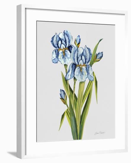 JP3784-Botanicals-Jean Plout-Framed Giclee Print