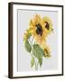 JP3787-Botanicals-Jean Plout-Framed Giclee Print