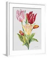 JP3788-Botanicals-Jean Plout-Framed Giclee Print