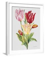 JP3788-Botanicals-Jean Plout-Framed Giclee Print