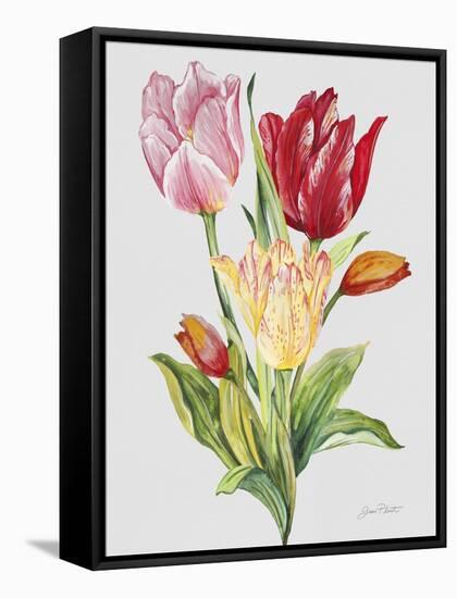 JP3788-Botanicals-Jean Plout-Framed Stretched Canvas