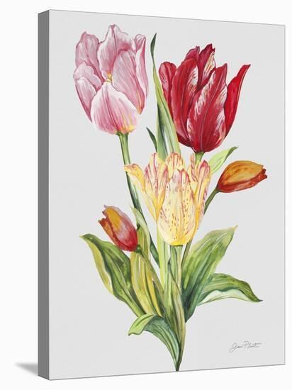 JP3788-Botanicals-Jean Plout-Stretched Canvas