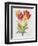 JP3789-Botanicals-Jean Plout-Framed Giclee Print