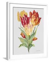 JP3789-Botanicals-Jean Plout-Framed Giclee Print