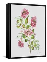 JP3791-Wild Rose-Pink-Jean Plout-Framed Stretched Canvas