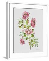 JP3791-Wild Rose-Pink-Jean Plout-Framed Giclee Print