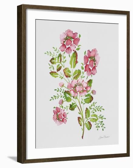 JP3791-Wild Rose-Pink-Jean Plout-Framed Giclee Print