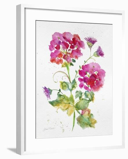 JP3792-Watercolor Flowers-Jean Plout-Framed Giclee Print