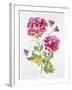 JP3792-Watercolor Flowers-Jean Plout-Framed Giclee Print