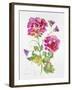 JP3792-Watercolor Flowers-Jean Plout-Framed Giclee Print