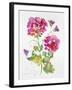 JP3792-Watercolor Flowers-Jean Plout-Framed Giclee Print