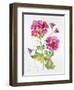 JP3792-Watercolor Flowers-Jean Plout-Framed Giclee Print