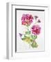 JP3792-Watercolor Flowers-Jean Plout-Framed Giclee Print