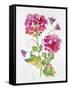 JP3792-Watercolor Flowers-Jean Plout-Framed Stretched Canvas