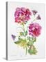 JP3792-Watercolor Flowers-Jean Plout-Stretched Canvas