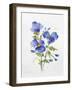 JP3793-Watercolor Flowers-Jean Plout-Framed Giclee Print