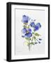 JP3793-Watercolor Flowers-Jean Plout-Framed Giclee Print