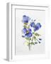 JP3793-Watercolor Flowers-Jean Plout-Framed Giclee Print