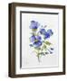 JP3793-Watercolor Flowers-Jean Plout-Framed Giclee Print